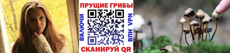 нарко площадка телеграм  наркотики  Арзамас  Псилоцибиновые грибы ЛСД  блэк спрут зеркало 